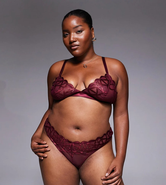  Asos Design Curve Simone Premium Fine Embroidery Classic Thong With Satin Binding In Burgundy Jewel-red 