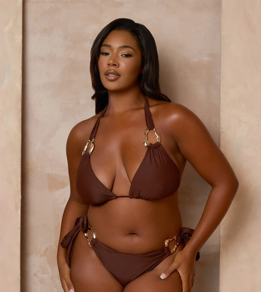  Moda Minx Curve X Alessa Tyrrell-charles Triangle Bikini Top With Molten Hardware Detail In Coffee-brown 